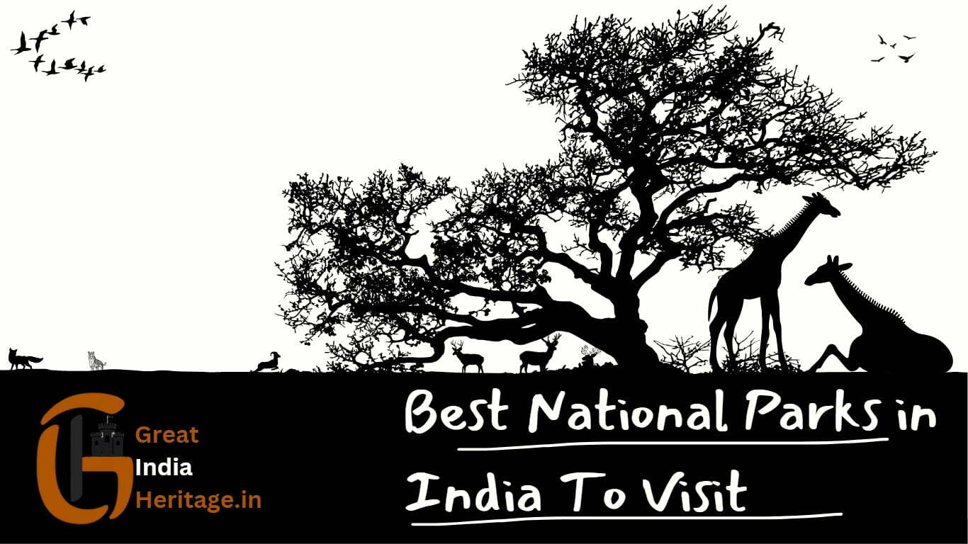 You are currently viewing Top Best National Parks in India to Visit