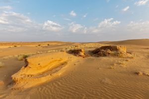 Read more about the article The Thar Desert – 1 Great Indian Desert