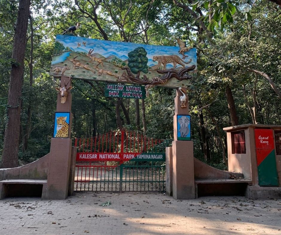 Kalesar National Park, Haryana, Yamuna Nagar, Kalesar, Great India Heritage